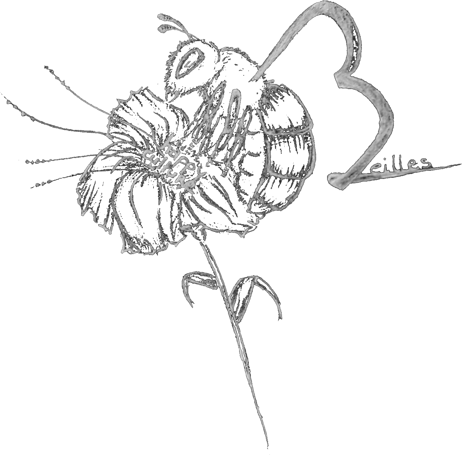 Image accueil