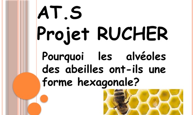 Aperçu du PDF